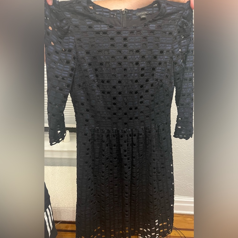 Ann Taylor Black and Midnight Blue Eyelet Textured Long Sleeve Dress